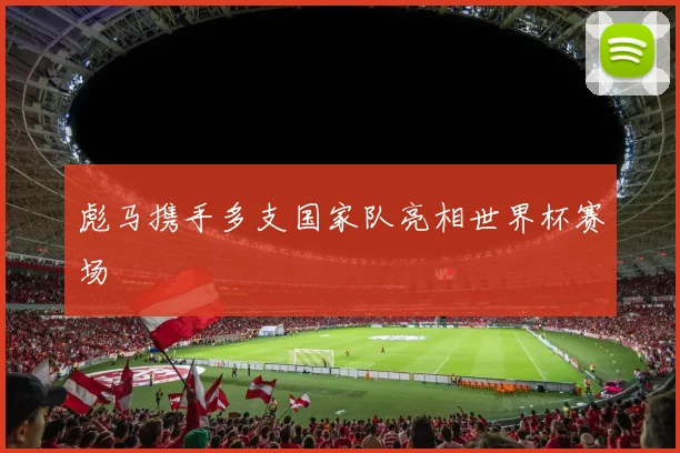 彪马携手多支国家队亮相世界杯赛场