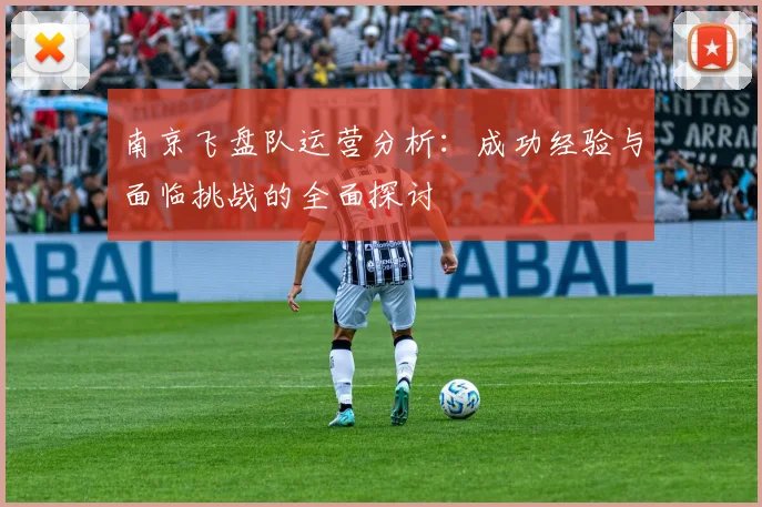 南京飞盘队运营分析：成功经验与面临挑战的全面探讨