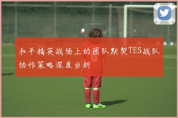 和平精英战场上的团队默契TES战队协作策略深度分析